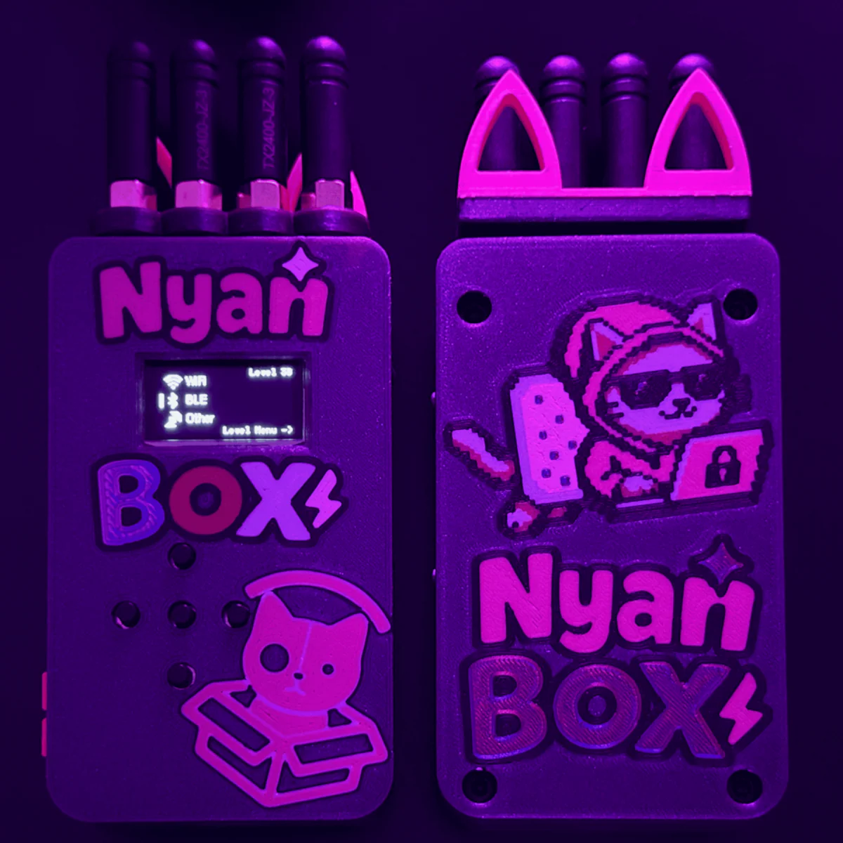 nyanbox